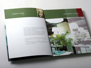 廣州專業(yè)畫冊(cè)設(shè)計(jì)與軟件開發(fā) 品牌建設(shè)的雙翼